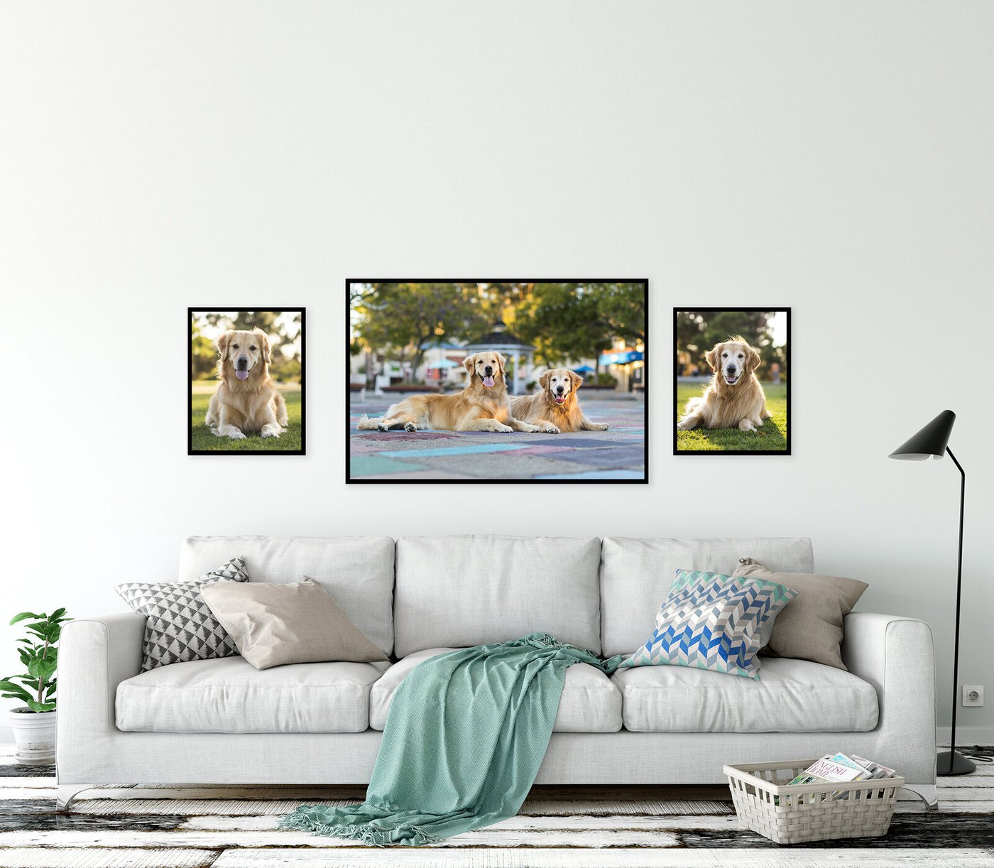 Three framed dog portraits hanging above a white sofa in a living room